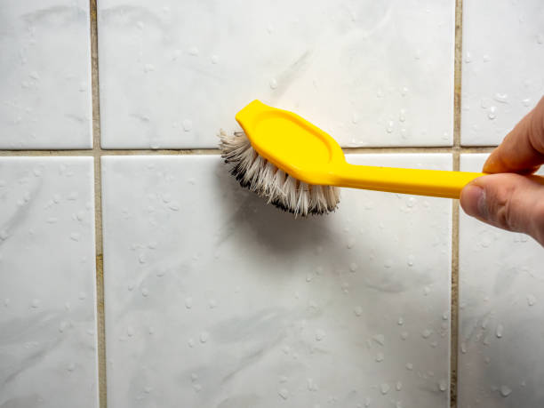 Best Same-Day Mold Removal  in Sudan, TX